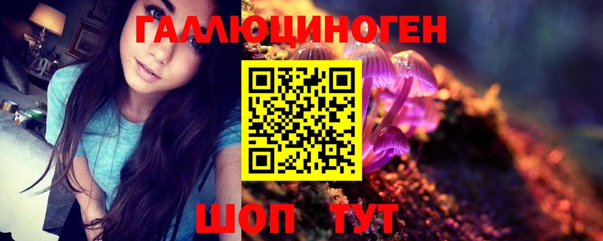 Псилоцибиновые грибы GOLDEN TEACHER  Псилоцибиновые грибы MAGIC MUSHROOMS  Вход с VPN  Изобильный 